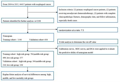 Sex differences in cancer-specific survival for locally advanced esophageal cancer after neoadjuvant chemoradiotherapy: A population-based analysis